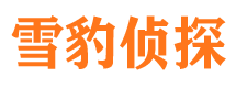 泉港市调查公司